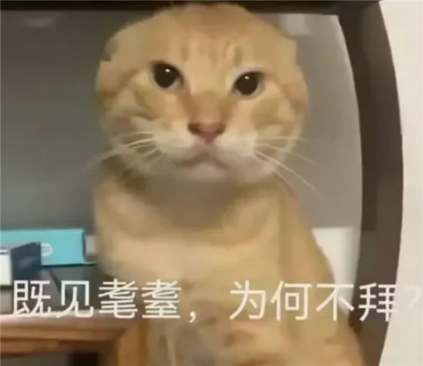 1763609236376452.png 1763609236376452.png