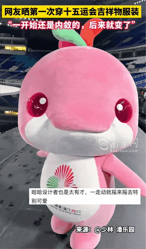 1763619202294414.jpg 2.jpg