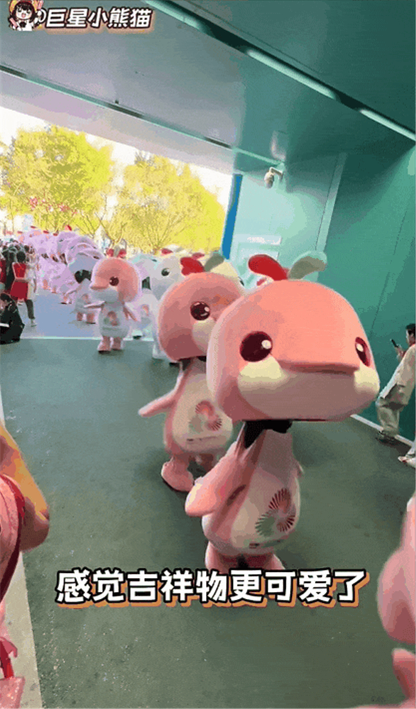 1763619219199947.jpg 3.jpg