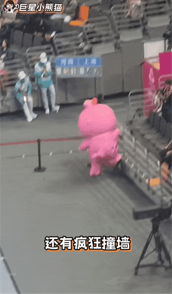 1763619229325498.jpg 4.jpg