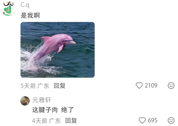 1763619283407976.png 13.png