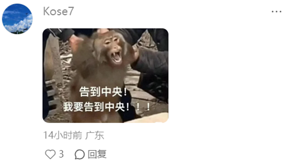 1763619352450582.png 24.png