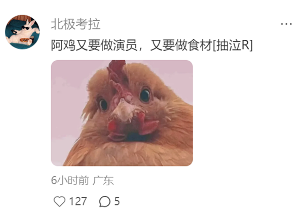 1763619359176248.png 26.png