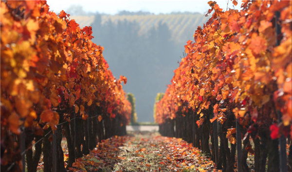 1763627487441713.png 2.png