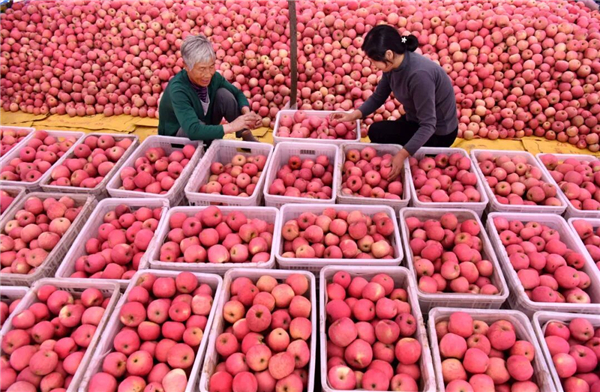 1763627619995547.jpg 5.jpg