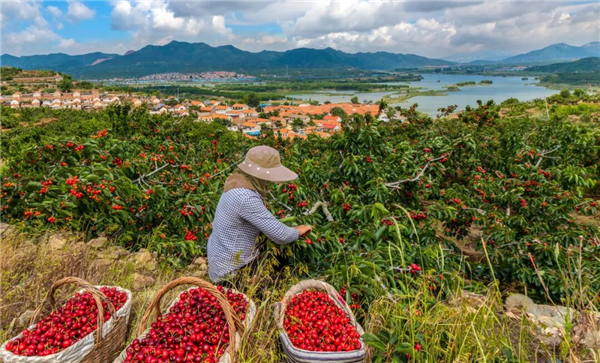 1763627624838759.jpg 6.jpg