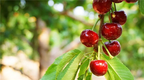 1763627628683311.jpg 7.jpg