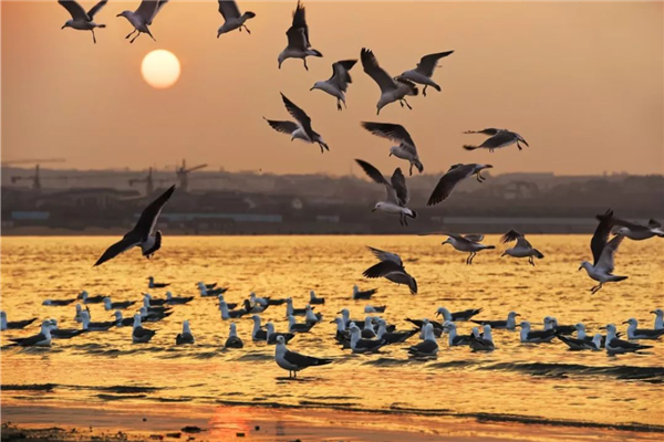 1763627655709167.png 12.png