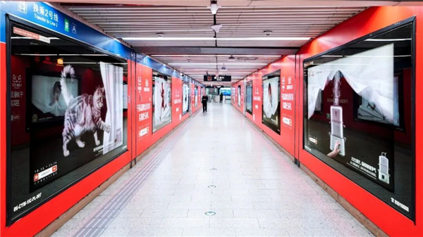 1763709244259499.jpg 26.jpg