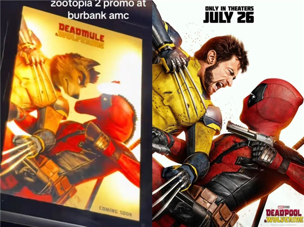 1763713694520381.jpg 8.jpg