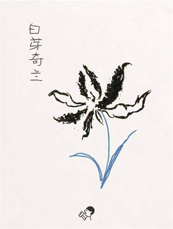 1763946733974348.jpg 31.jpg