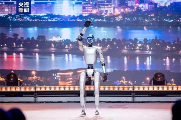 1763975619743975.jpg 7.jpg