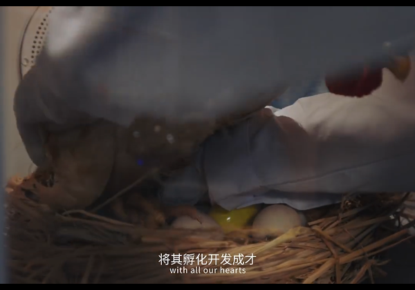 1764210936104945.png 12.png