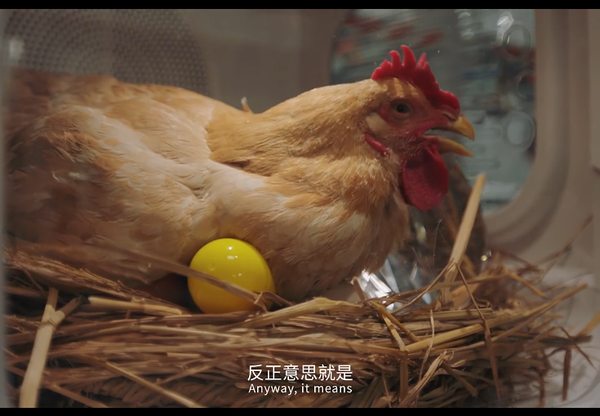 1764210946670973.png 13.png