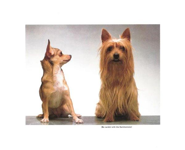 1764214636590046.jpg 8.jpg