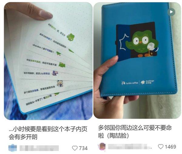 1764298916184907.jpg 24.jpg