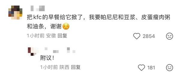 1764571549161180.jpg 8.jpg