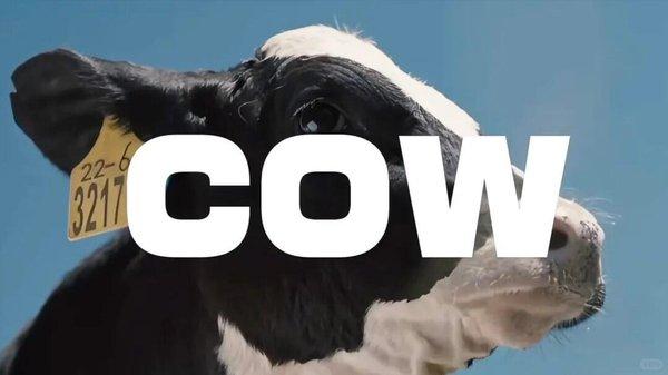 1764819414135684.jpg 11.jpg