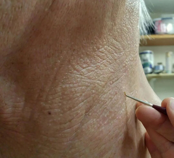 1764827923835942.png 3.png