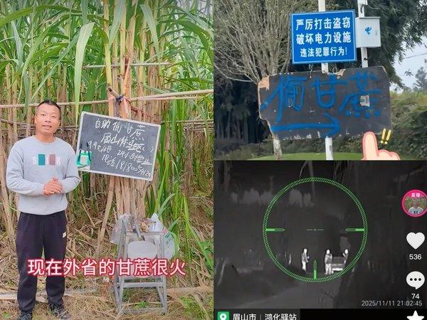 1764831169271383.jpg 3.jpg