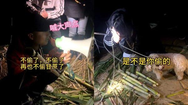 1764831180356848.jpg 5.jpg