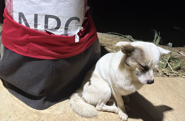 1764831195116516.png 8.png