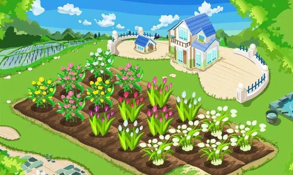 1764831206673854.png 10.png