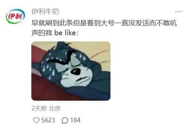 1764906922286081.jpg 9.jpg