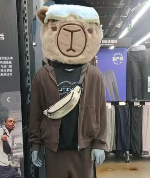 1764919637500248.png 4.png