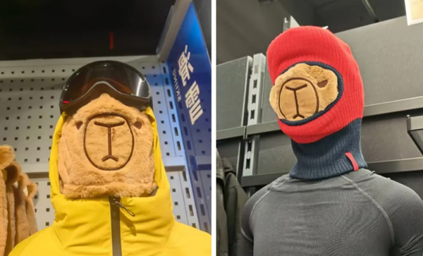 1764919641208492.png 5.png