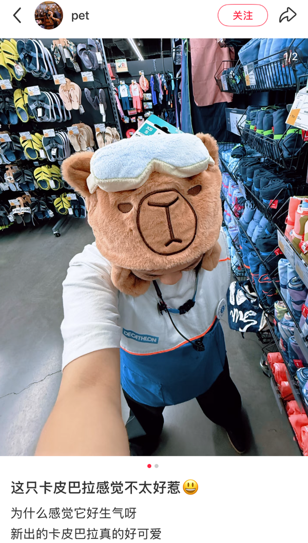 1764919661915291.png 9.png