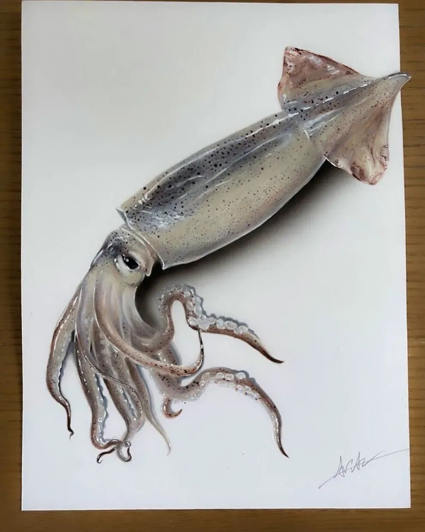 1765260743220257.png 5.png