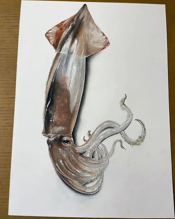 1765260747306924.png 4.png