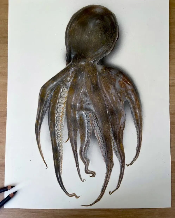 1765260755488893.png 6.png