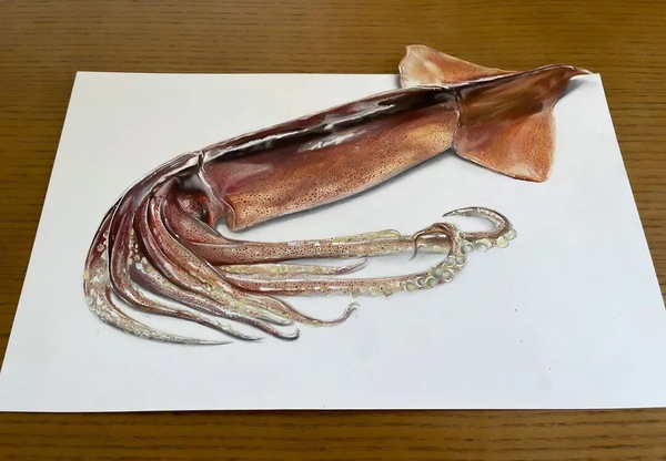 1765260760903270.png 7.png