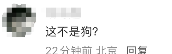 1765768226979435.png 7.png