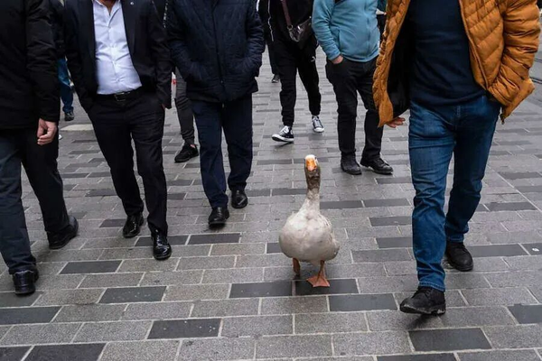 1765780868578607.png 7.png