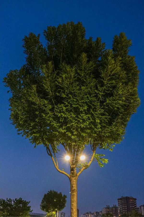 1765780872338376.png 8.png