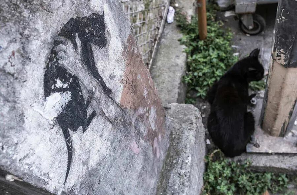 1765780955945795.png 10.png