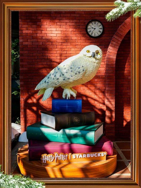 1765876677767497.jpg 16.jpg