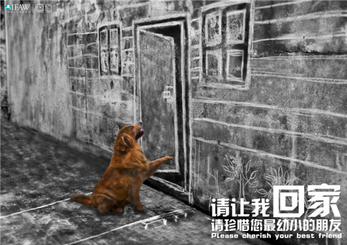 金犢獎-平面類-高中（職）組國際愛護動物基金會（IFAW）公益廣告設計-最佳新人獎