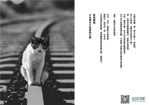 金犢獎-技術類－文案對白項-銀犢獎