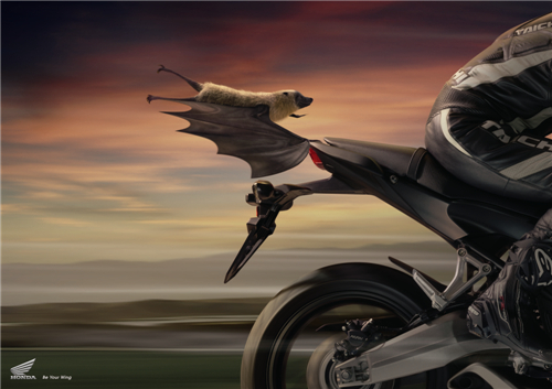 2016長城獎平面類-銅獎-羽翼系列: 飛鼠篇/蝙蝠篇