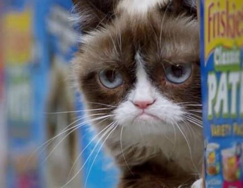 這些廣告大概又要騙我養寵物了!