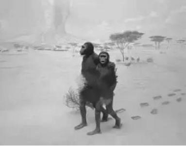 2018年第一支讓我哭的廣告,居然是你