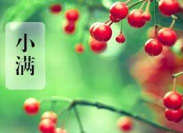 #最美小滿,品牌海報詩情畫意正當時