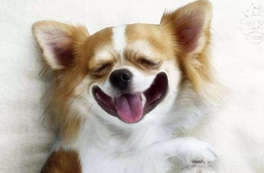 一入廣告深似海 ，從此節操是路人