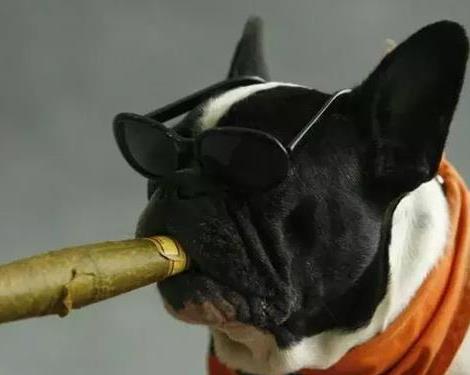 甲方忠誠度調查測試