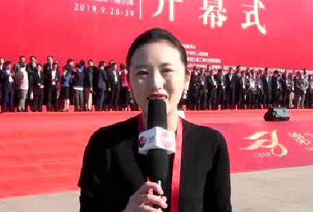 第二十五屆中國國際廣告節(jié)開幕式