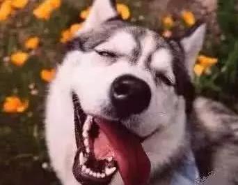 國慶廣告人最嗨玩法大曝光